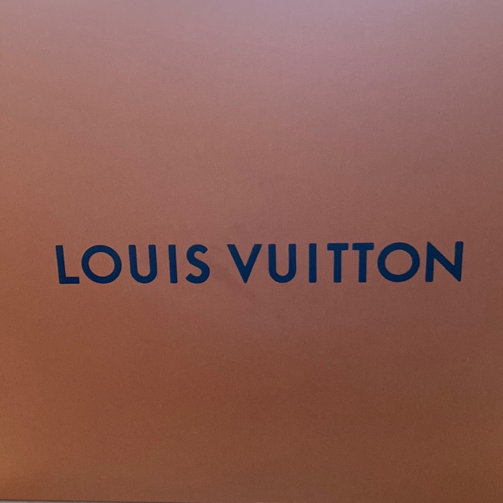 Louis Vuitton high top sneaker